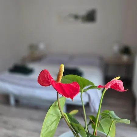 Spot - 70m2 Modern Apartment, Free Parking, Near Magnolia And Center 弗罗茨瓦夫