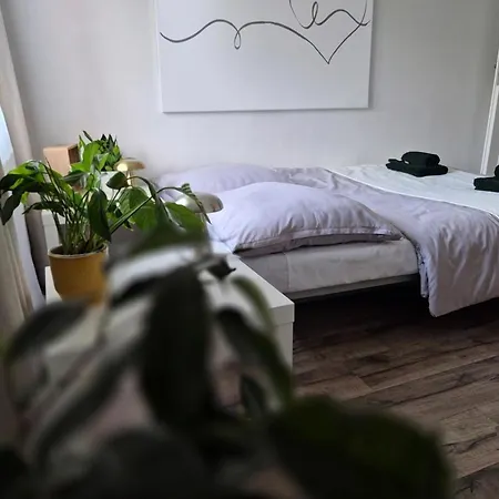 Spot - 70m2 Modern Apartment, Free Parking, Near Magnolia And Center Apartman *